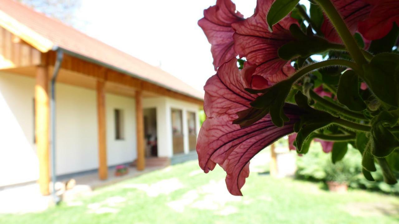 Zergeboglar Vendeghaz Villa Szilvasvarad Bagian luar foto